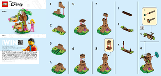 30671-Aurora's Forest Playground polybag - INSTRUCTIONS ONLY Instructions LEGO®