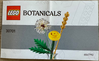 30701 - Field Flowers paper bag / polybag - INSTRUCTIONS ONLY Instructions LEGO®
