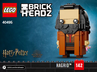 40495-Harry, Hermione, Ron & Hagrid - INSTRUCTIONS ONLY Instructions LEGO® Slightly Used Book 3