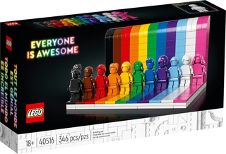 40516 - Everyone is Awesome - EMPTY BOX ONLY