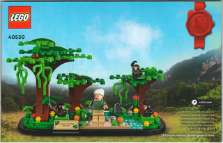 40530-Jane Goodall Tribute - INSTRUCTIONS ONLY Instructions LEGO®