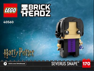 40560-Professors of Hogwarts - INSTRUCTIONS ONLY Instructions LEGO® Slightly Used Book 1