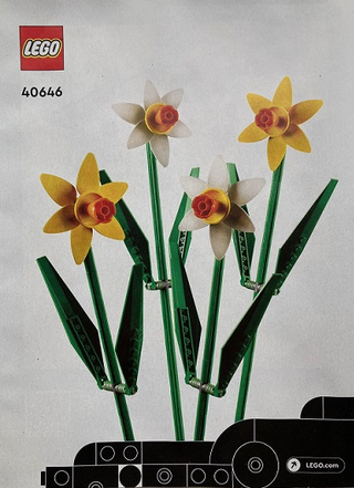 40646-Daffodils - INSTRUCTIONS ONLY Instructions LEGO®