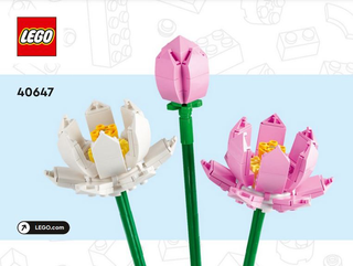 40647-Lotus Flowers - INSTRUCTIONS ONLY Instructions LEGO®