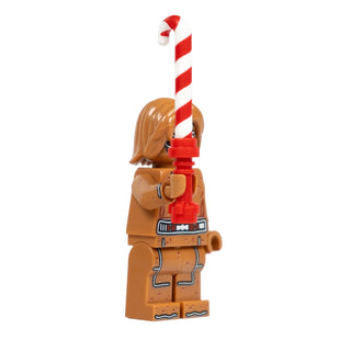 Ginger-Wan, MandR41