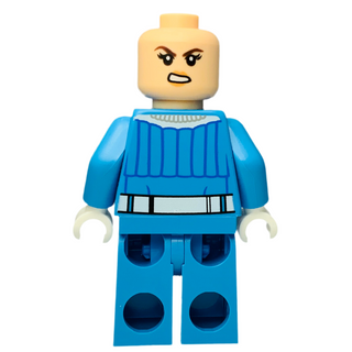 Sue Storm, sh1050 Minifigure LEGO®