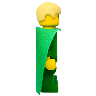 Draco Malfoy, hp020 Minifigure LEGO®