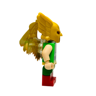 Hawkgirl, sh0461 Minifigure LEGO®