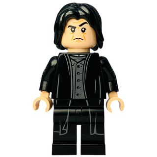 Professor Severus Snape, hp493
