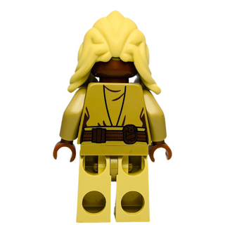 Stass Allie, sw0469 Minifigure LEGO®