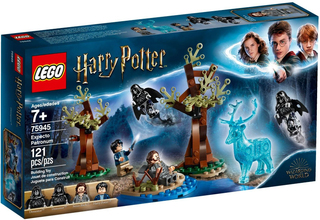 75945 - Expecto Patronum - EMPTY BOX ONLY Empty Box LEGO®