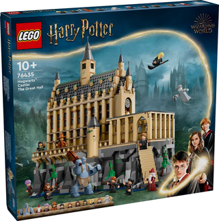 76435 - Hogwarts Castle: The Great Hall - EMPTY BOX ONLY Empty Box LEGO®