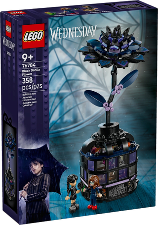 76784 - Black Dahlia Flower - EMPTY BOX ONLY