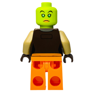Hera Syndulla, sw0576 Minifigure LEGO®