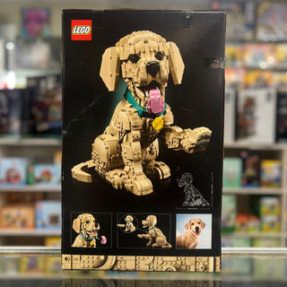 LEGO Icons Golden Retriever puppy set box with tan brick-built dog figure wearing collar and leash.