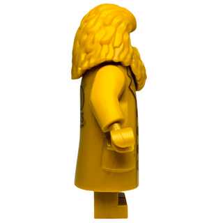 Rubeus Hagrid 20th Anniversary Pearl Gold, hp324 Minifigure LEGO®