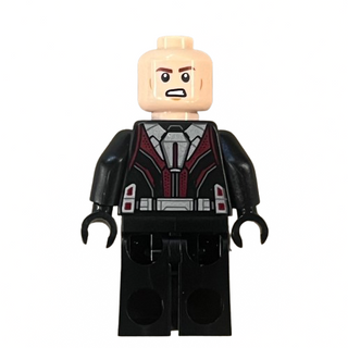 Ant-Man (Scott Lang), Closed Helmet, sh1045 - LEGO® Marvel Minifigure Minifigure LEGO®