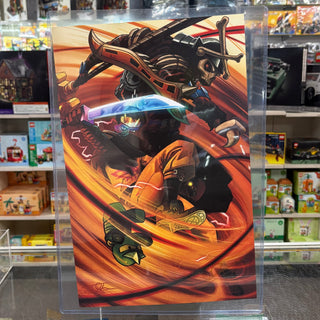Ninjago Art Prints by Artist Joshua Deck