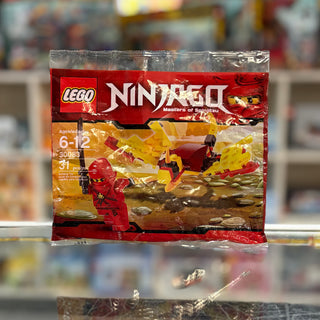 Dragon Fight polybag, 30083 Building Kit LEGO®