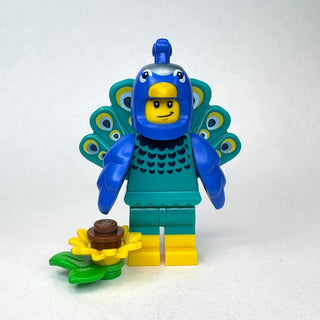 Peacock Costume Fan, col28-1