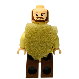 Qui-Gon Jinn, sw0651 Minifigure LEGO®