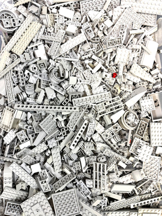 Bulk LEGO® Pieces Sorted by Color Bulk LEGO® Light Bluish Gray (New Light Gray) 1/2 lbs