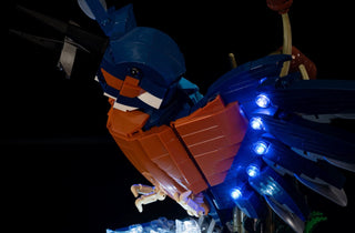 Kingfisher Bird 10331 Custom Lighting Kit for LEGO® Set Light up kit United Brick Co®