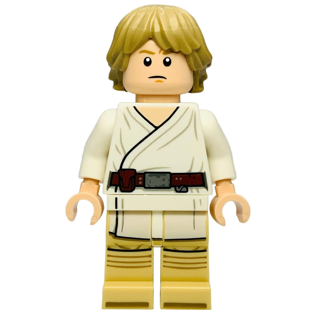 Luke Skywalker - SMART Minifigure, Tatooine, sw1491 - LEGO® Star Wars ...