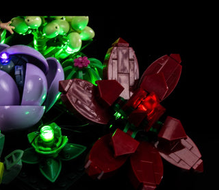 LED lighting kit with green illuminated succulent plants, red flower, purple planter, and mauve decorative structures against