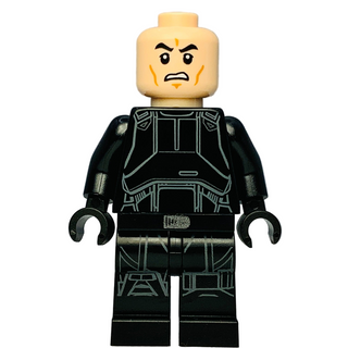 Imperial Death Trooper, sw0807 Minifigure LEGO®