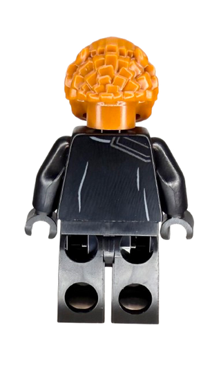 Dryden's Guard, sw0954 Minifigure LEGO®