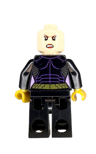 Batgirl, sh0092 Minifigure LEGO®