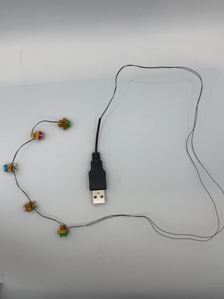 Blinking LED Christmas Lights, USB Powered, LUS-10249