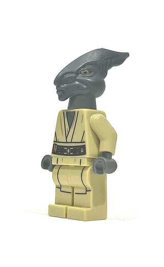 Coleman Trebor, sw0480 Minifigure LEGO®   