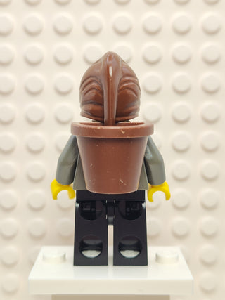 Hunchback with D-Basket, hrf012 Minifigure LEGO®   