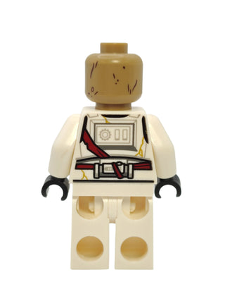 Night Trooper, sw1358 Minifigure LEGO®   