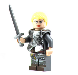 BIRENNE Custom Printed & Inspired Game of Thrones Minifigure