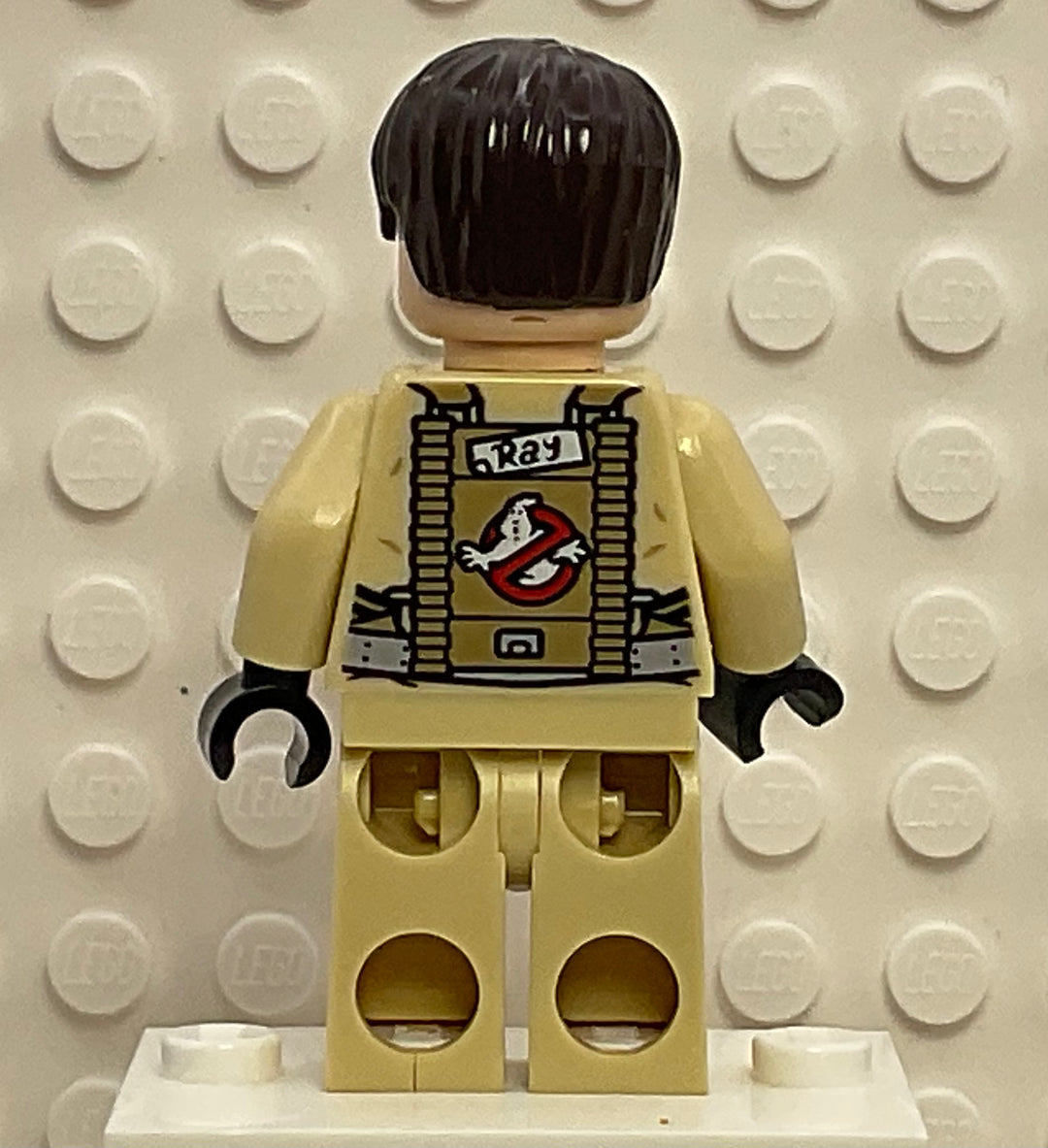 Dr. Raymond Stantz, gb003