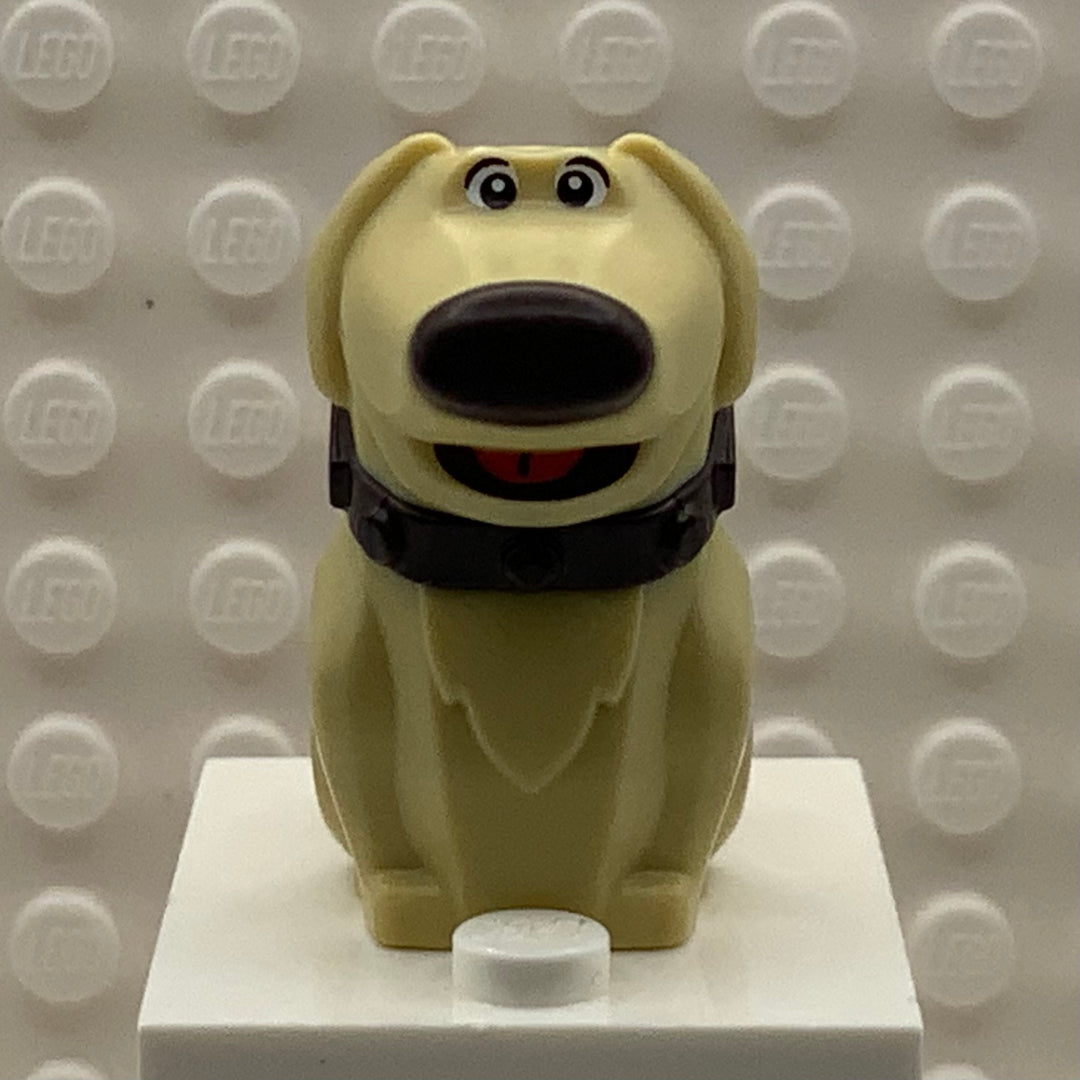 Dug, Golden Retriever Dog, 101660pb01