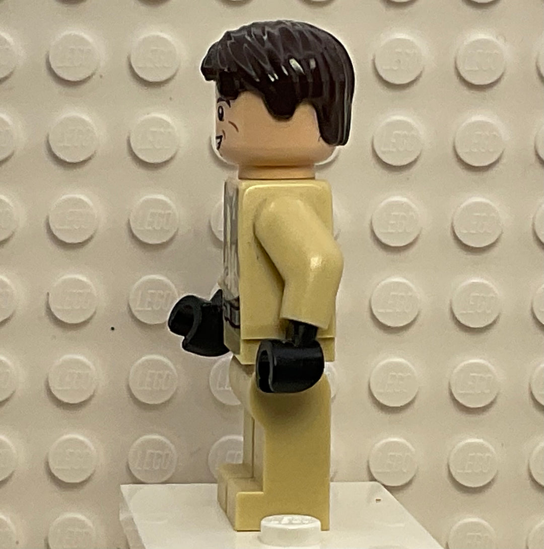 Dr. Raymond Stantz, gb003