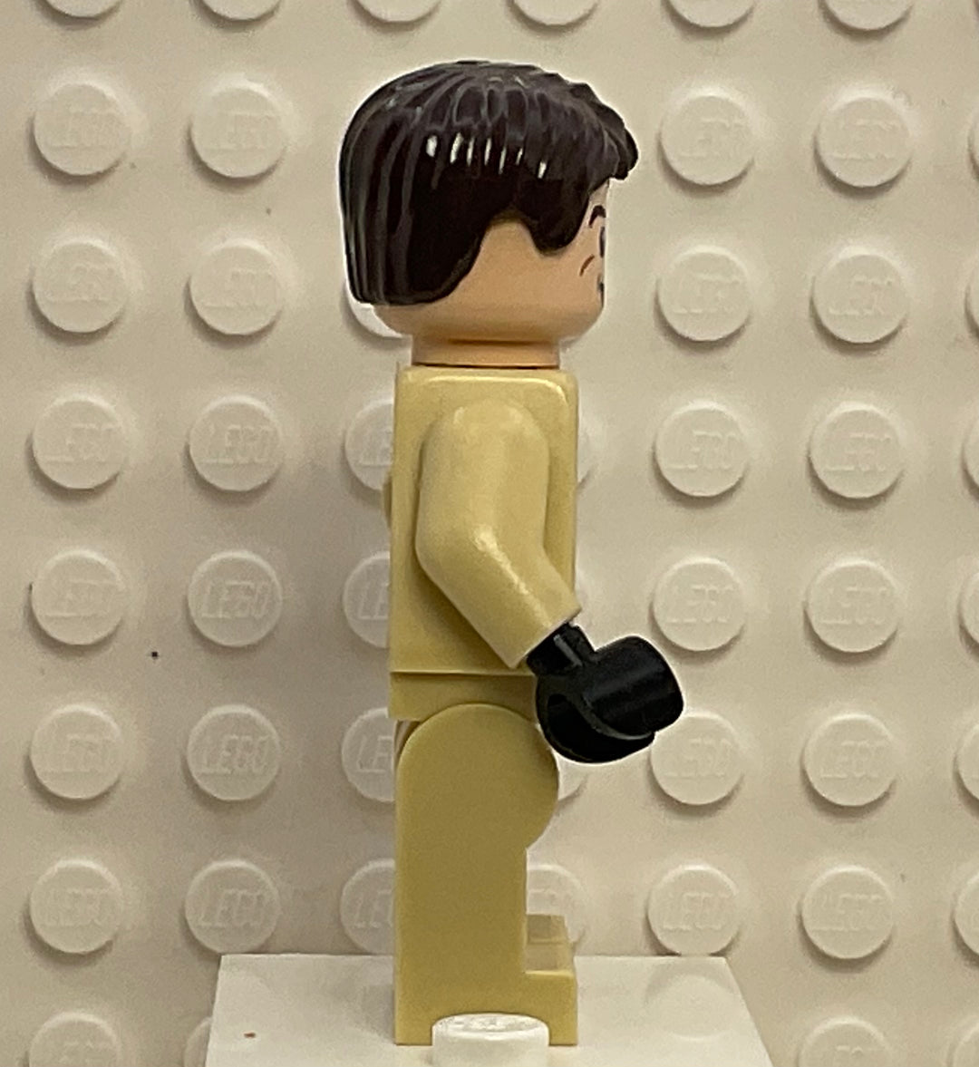Dr. Raymond Stantz, gb003