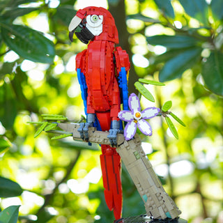 Scarlet Macaw Creature Bricker Builds