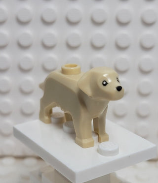 LEGO® Labrador/Golden Retriever LEGO® Animals LEGO® Tan  