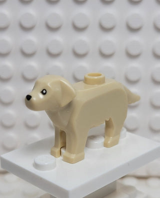 LEGO® Labrador/Golden Retriever LEGO® Animals LEGO®   