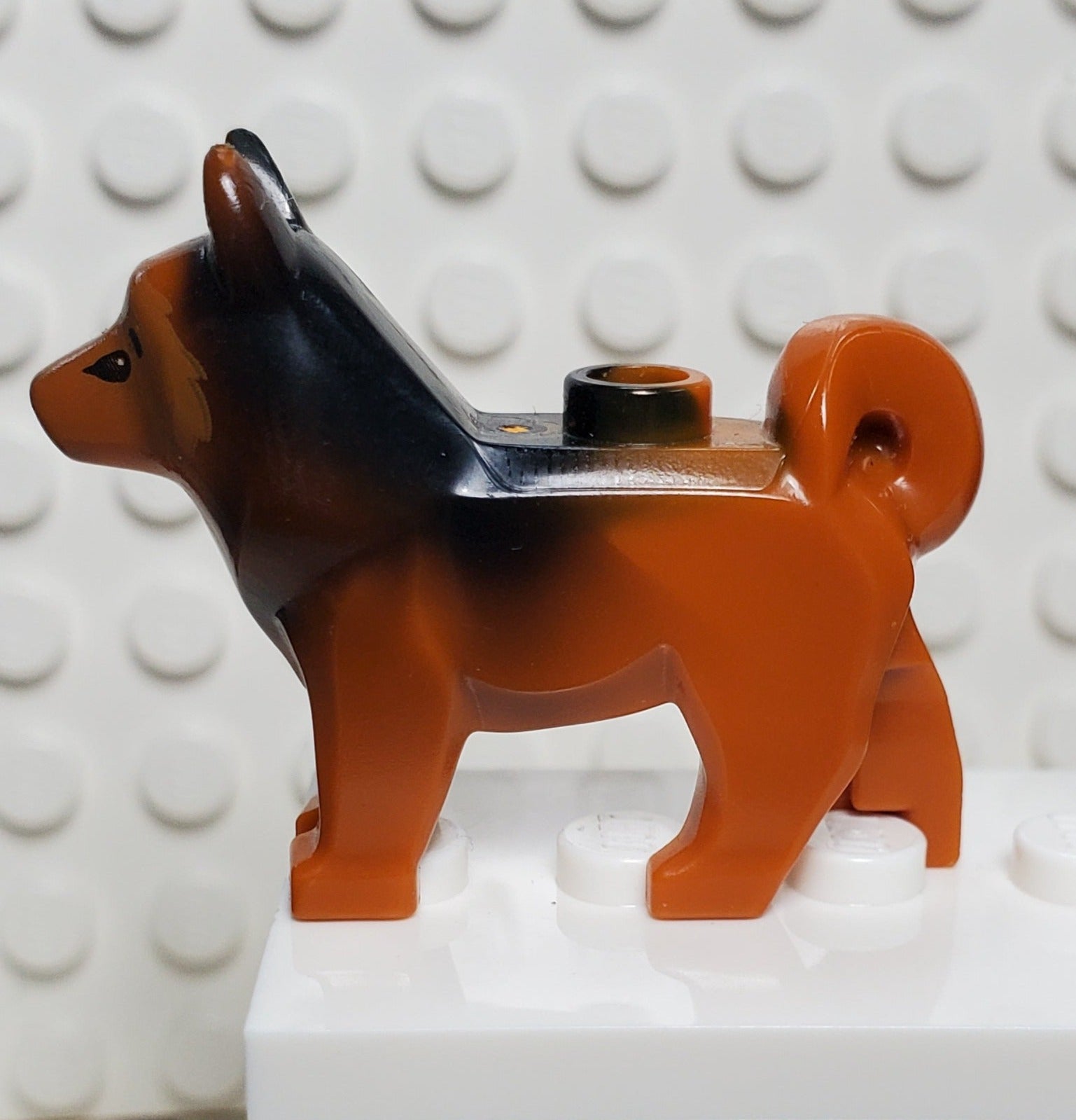 GAGNEZ une pièce rare de chien LEGO Husky mal imprimée avec Brick