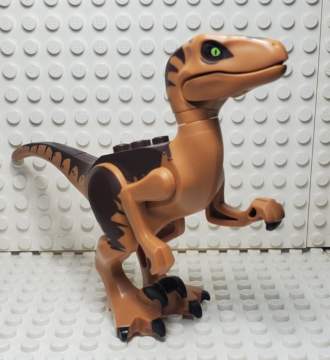 LEGO® Raptor/Velociraptor Dark Brown Back