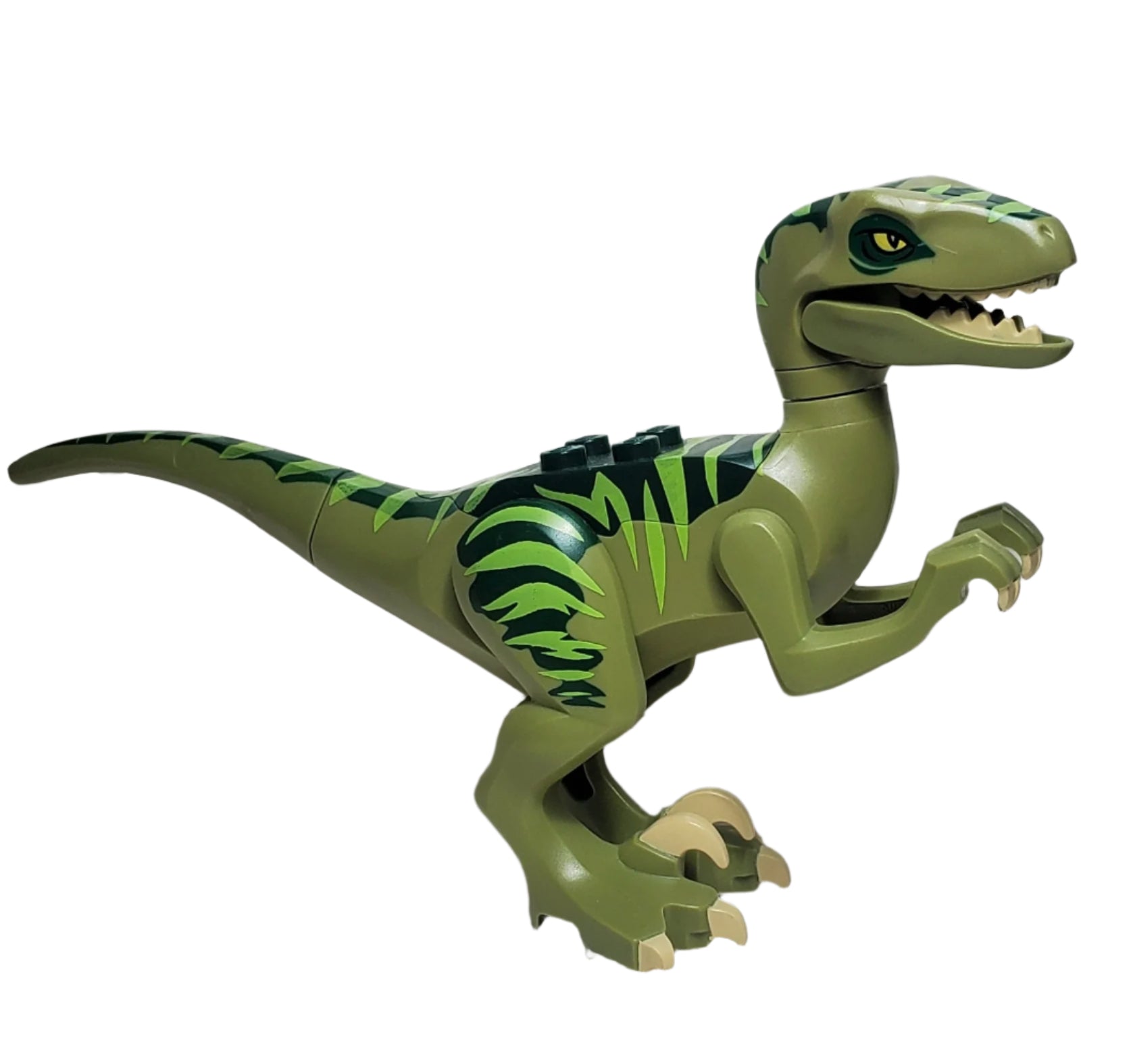 LEGO® Raptor/Velociraptor with Dark Green Back – Atlanta Brick Co