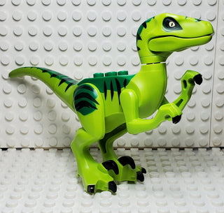 LEGO® Raptor/Velociraptor with Green Back LEGO® Animals LEGO®   