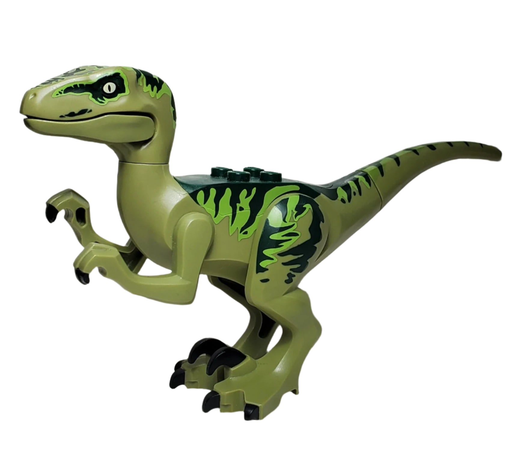 LEGO® Raptor/Velociraptor (Charlie) Jurassic World – Atlanta Brick Co