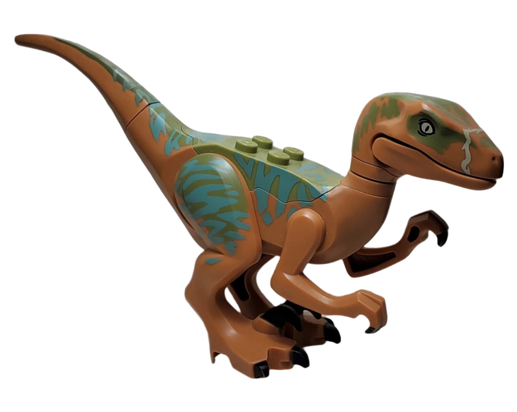 LEGO® Raptor/Velociraptor with Olive Green Back and Sand Green (Echo ...